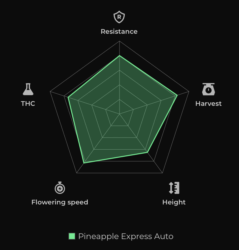 Pineapple Express Auto