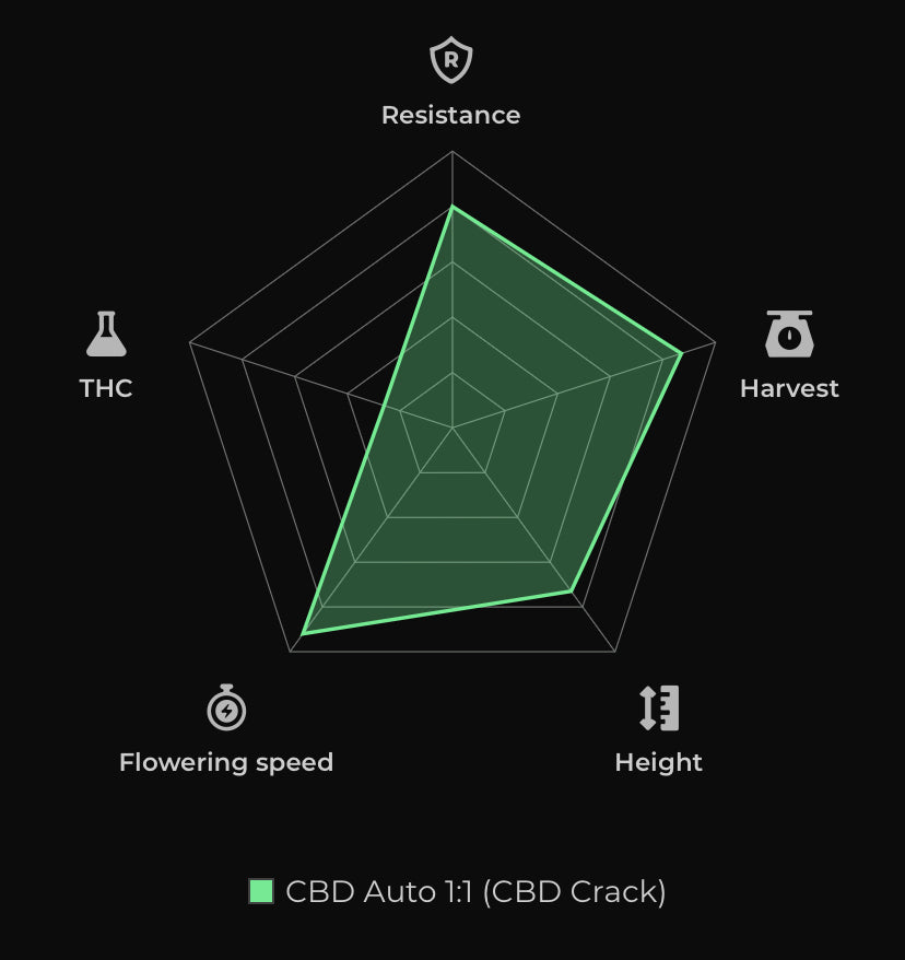 CBD Auto 1:1 (CBD Green Crack)