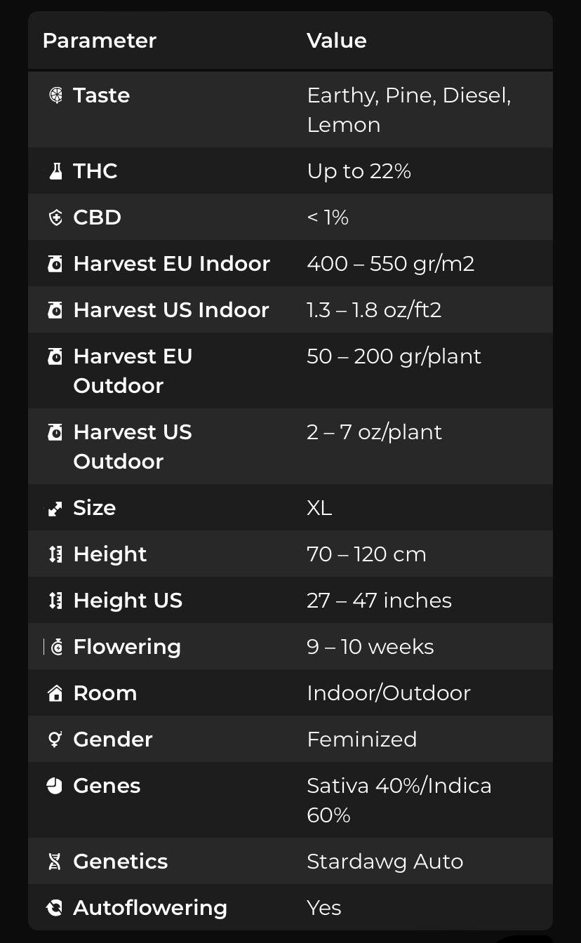 Stardawg Auto