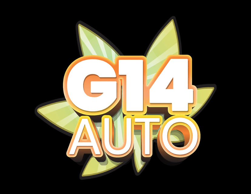 G14 Auto