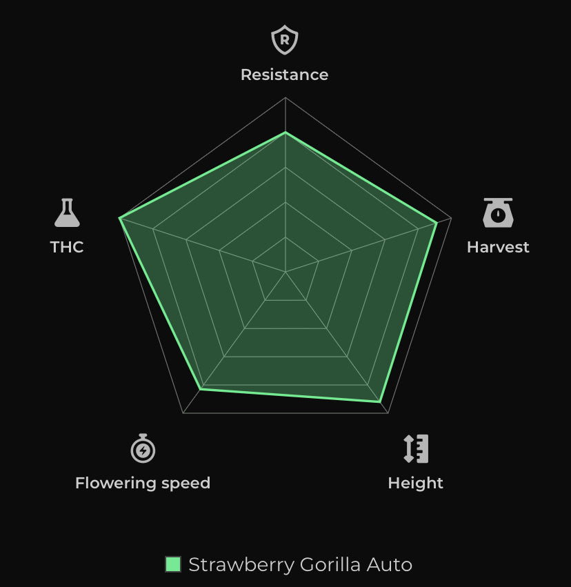 Strawberry Gorilla Auto