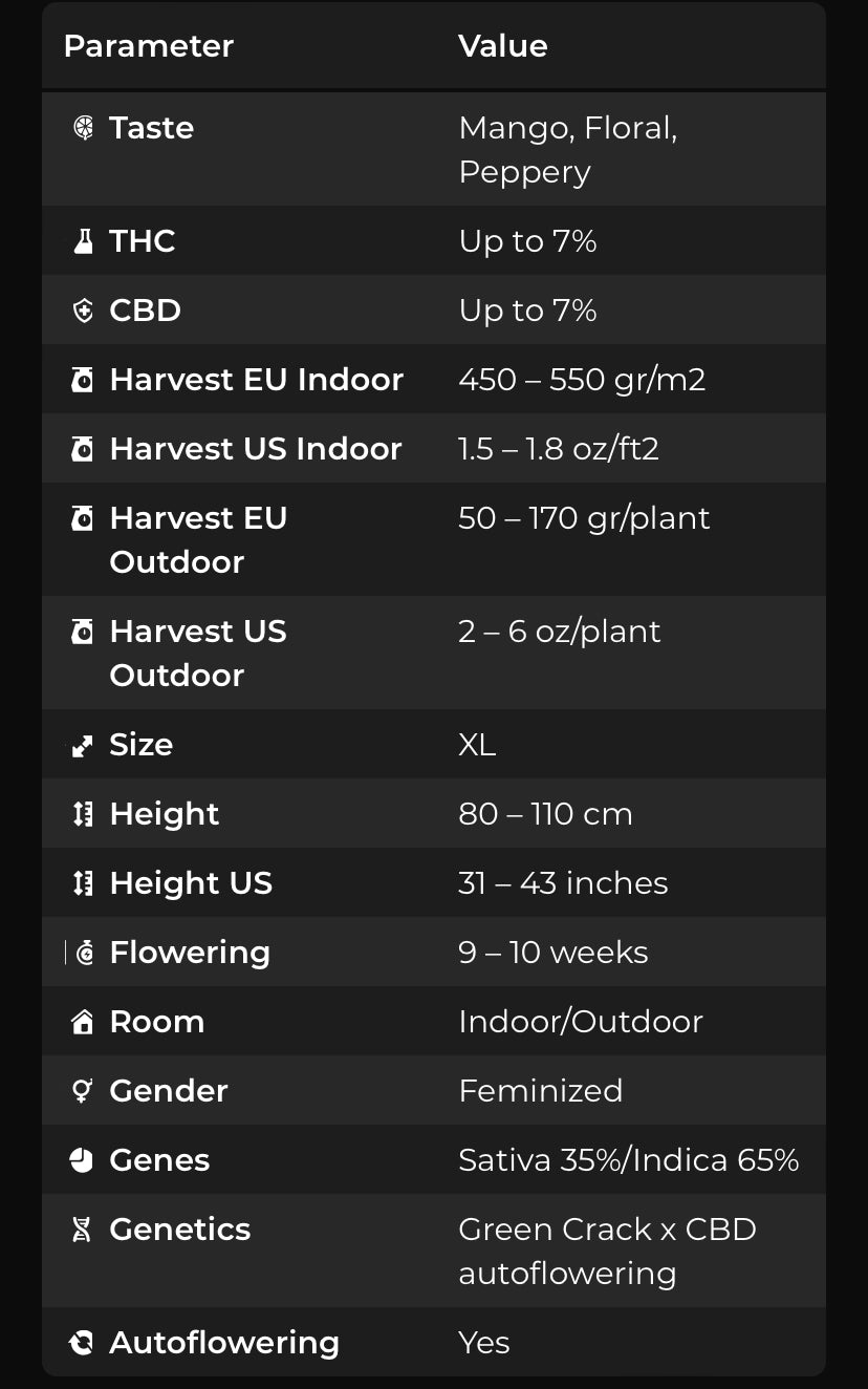 CBD Auto 1:1 (CBD Green Crack)