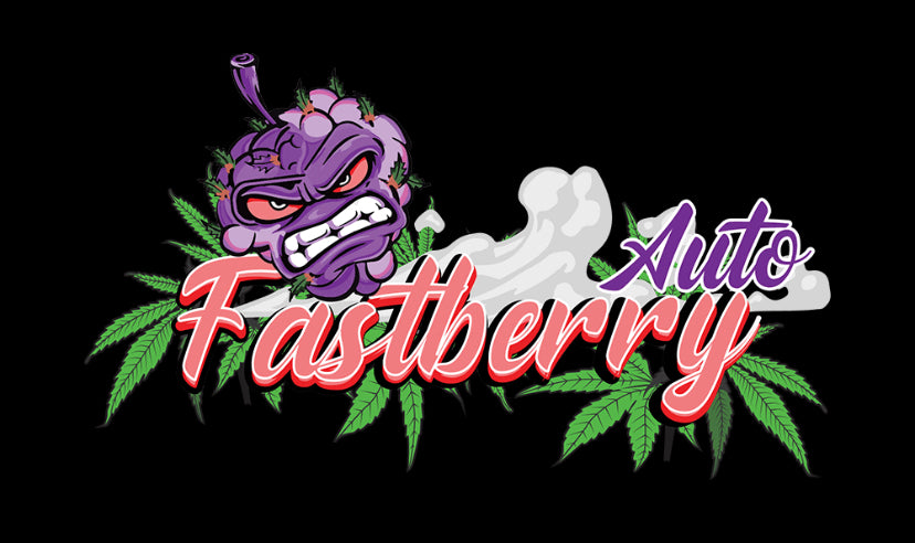 Fastberry Auto